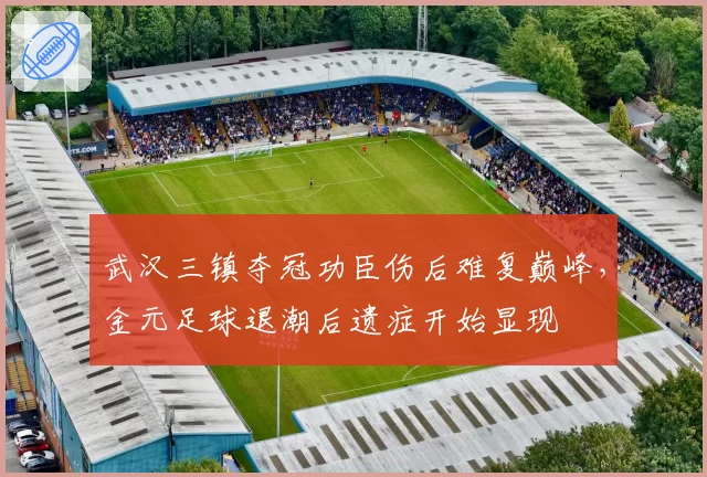 武汉三镇夺冠功臣伤后难复巅峰,金元足球退潮后遗症开始显现